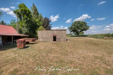 Exclusivté Capifrance \ Maison rénovée sur 1,43ha / 5 minutes de Briouze !