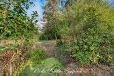 Exclusivité Capifrance - Maison en pierres – 104 m² habitables, terrain clos et arboré de 1 424 m²