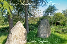 Exclusivité Capifrance - Viager Sainte Honorine la Guillaume
