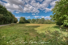 🏡 PAVILLON DE PLAIN-PIED 🌳 AVEC PRÈS D’1 HECTARE DE TERRAIN !