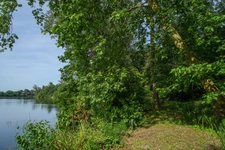 Propriete à vendre 14 pièces SAINTE LIVRADE SUR LOT (47)Sainte-Livrade-sur-Lot – Propriété de caractère à projets multiples en bord de rivière avec accès privatif au Lot