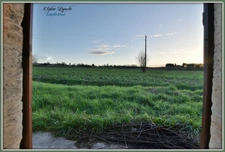 Dpt Lot et Garonne (47), à louer SAINT PIERRE SUR DROPT maison P4 LOUÉE MEUBLÉE  