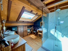 Chalet à vendre 6 pièces CROZET (01)