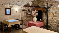 A vendre murs et fonds de commerce , logement de fonction, auberge restaurant, bar tabac, FDJ à SERRIERES EN CHAUTAGNE (73)