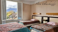 A vendre murs et fonds de commerce , logement de fonction, auberge restaurant, bar tabac, FDJ à SERRIERES EN CHAUTAGNE (73)