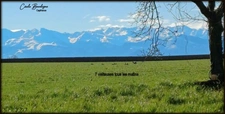 Entre PAU et Tarbes Terrain plat au calme vue Pyrénées