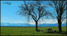 Entre PAU et Tarbes Terrain plat au calme vue Pyrénées
