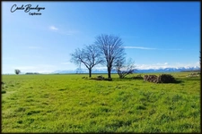 Entre PAU et Tarbes Terrain plat au calme vue Pyrénées