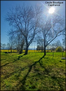 A proximité de Soumoulou, Terrain constructible 1200 m² environ  