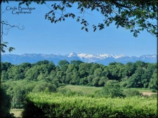 Entre Pau et Tarbes à 7 kms de Soumoulou Maison d'architecte belle vue sur Pyrénées 16000 m² de terrain.