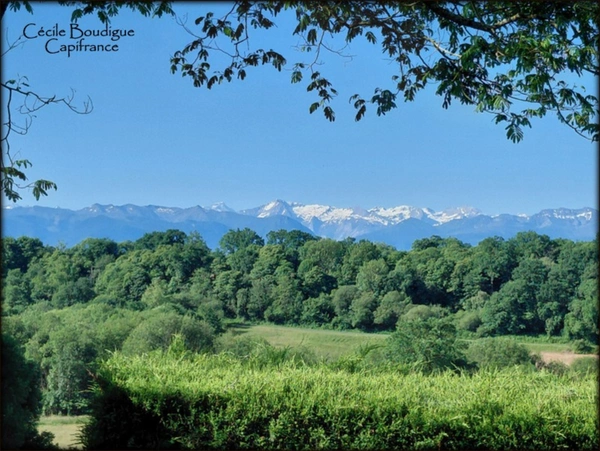 Entre Pau et Tarbes à 7 kms de Soumoulou Maison d'architecte belle vue sur Pyrénées 16000 m² de terrain.