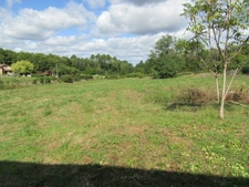 Propriété avec maison 4 chambres, plusieurs bâtiments et 1.8 hectares de terrain