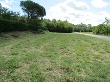 Propriété avec maison 4 chambres, plusieurs bâtiments et 1.8 hectares de terrain