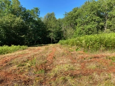 Terrain sur Sarlat dans un environnement très calme