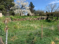 Proche de FEURS  (42). MAISON de village de 56 M2 avec sa petite cour et son terrain non attenant 