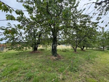 proche d' AMBERT (63) CORPS DE FERME en pierre renové  avec sa grange indépendante  TERRAIN de 1209 M2