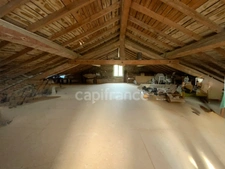 Proche de NOIRETABLE  : MAISON DE CAMPAGNE de 157 m2 avec DEPENDANCES  et TERRAIN de 1200 M2