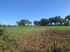 A SAINT GERMAIN LAVAL (42) MAISON  de 120 M2  avec terasse TERRAIN de 3 HA  et BATIMENT de 75 M2