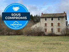 Proche de NOIRETABLE   MAISON EN PIERRE de 180 M2 avec son hangar sur terrain arboré de 7400m2