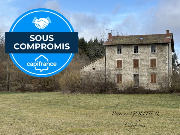 Proche de NOIRETABLE   MAISON en PIERRE   de 180 M2 avec son hangar sur terrain arboré de 7400m2