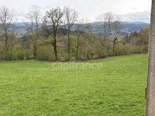 Proche de NOIRETABLE   MAISON EN PIERRE de 180 M2 avec son hangar sur terrain arboré de 7400m2