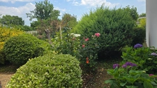 Maison à vendre 7 pièces CESSON SEVIGNE (35)
