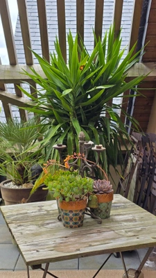 Appartement à vendre 4 pièces terrasse SAINT LUNAIRE (35)