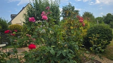 Maison à vendre 7 pièces CESSON SEVIGNE (35)