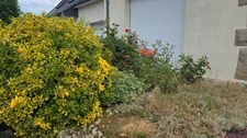 Maison à vendre 7 pièces CESSON SEVIGNE (35)