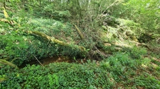 Terrain à vendre de 4 300,00 m² proche de DINAN (22)