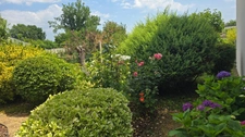 Maison à vendre 7 pièces CESSON SEVIGNE (35)