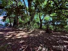 Propriete à vendre 32 pièces proche de CARCASSONNE (11) 2 habitations 522m2+ parc 2,82 hectares + dépendances