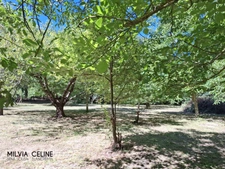 Property for sale 32 rooms near CARCASSONNE (11) 2 dwellings 522m2 + park 2.82 hectares + outbuildings