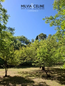 Property for sale 32 rooms near CARCASSONNE (11) 2 dwellings 522m2 + park 2.82 hectares + outbuildings