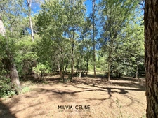 Property for sale 32 rooms near CARCASSONNE (11) 2 dwellings 522m2 + park 2.82 hectares + outbuildings
