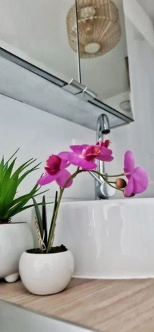 Dpt Aude (11), for sale CARCASSONNE Investment building of 118m244 Apartments: two T2; two T1bis