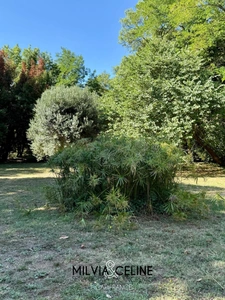 Property for sale 32 rooms near CARCASSONNE (11) 2 dwellings 522m2 + park 2.82 hectares + outbuildings