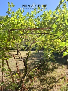 Property for sale 32 rooms near CARCASSONNE (11) 2 dwellings 522m2 + park 2.82 hectares + outbuildings