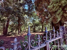 Property for sale 32 rooms near CARCASSONNE (11) 2 dwellings 522m2 + park 2.82 hectares + outbuildings