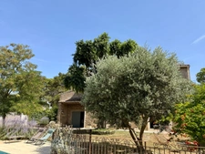Manor house for sale in CARCASSONNE (11) with 9 rooms, 233m2 of living space, 5 bedrooms, garage, swimming pool, 1100m2 plot