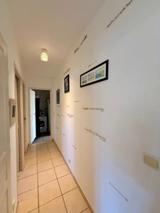 Maison plain-pied à RIEUX MINERVOIS 78m2 habitables, un  gite de 50m2 sur terrain 725m2, piscine
