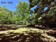 Property for sale 32 rooms near CARCASSONNE (11) 2 dwellings 522m2 + park 2.82 hectares + outbuildings