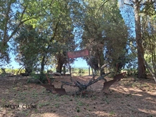 Property for sale 32 rooms near CARCASSONNE (11) 2 dwellings 522m2 + park 2.82 hectares + outbuildings