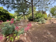 Magnificent property in Limoux with 205.07m2 of living space on 2.05 hectares of land