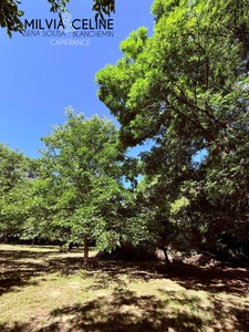 Property for sale 32 rooms near CARCASSONNE (11) 2 dwellings 522m2 + park 2.82 hectares + outbuildings
