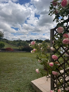 House for sale, 5 rooms, BELVEZE DU RAZES (11), 132m2, 3 bedrooms on 11285m2 of land with garage