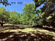 Propriete à vendre 32 pièces proche de CARCASSONNE (11) 2 habitations 522m2+ parc 2,82 hectares + dépendances