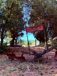 Property for sale 32 rooms near CARCASSONNE (11) 2 dwellings 522m2 + park 2.82 hectares + outbuildings