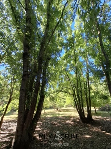 Property for sale 32 rooms near CARCASSONNE (11) 2 dwellings 522m2 + park 2.82 hectares + outbuildings