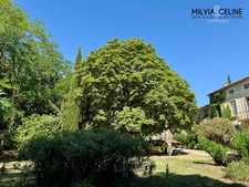 Property for sale 32 rooms near CARCASSONNE (11) 2 dwellings 522m2 + park 2.82 hectares + outbuildings